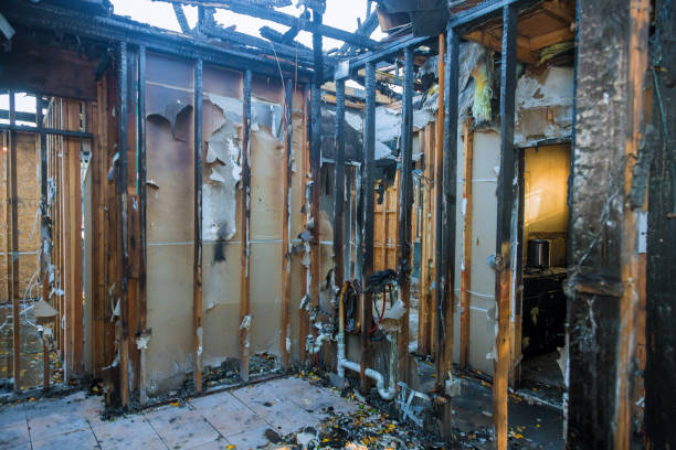 Professional Soot Cleanup technician working in Woodville, MS
